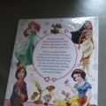 Disney Princess - Enchanted Character Guide